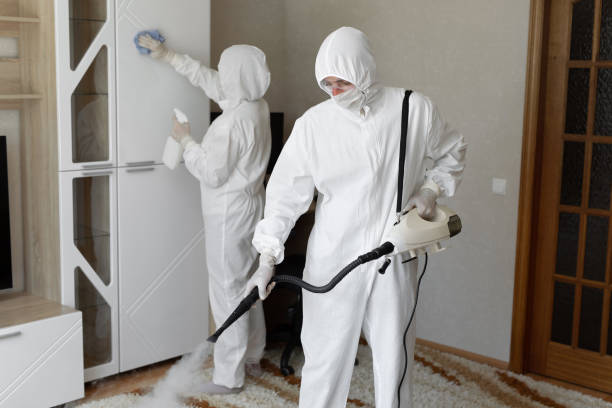 Best Home Mold Removal  in Ceredo, WV